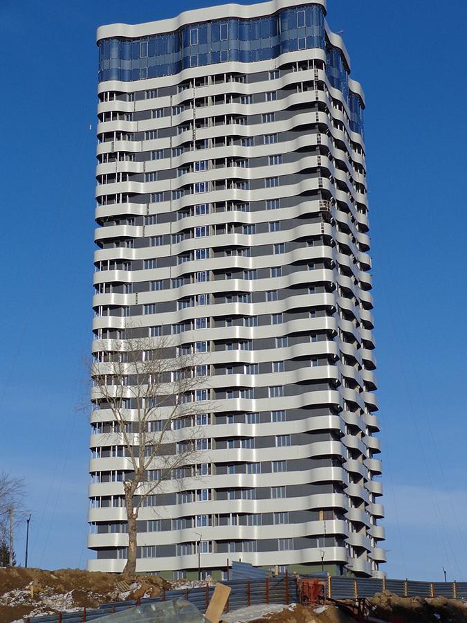Оазис